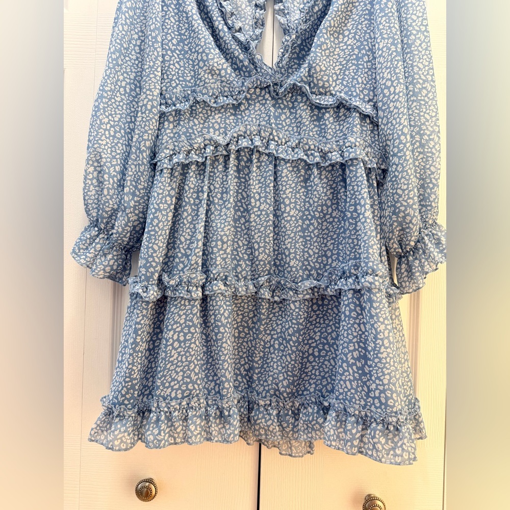 Blue Floral Ruffle Dress - Picture 4 of 4